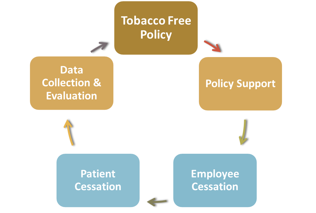 tobacco general information There's no safe way to smoke tobacco. Even cigars increase your risk for  oral, esophageal and lung cancers. Our Dr. Jason Robinson breaks down the  facts and why quitting is the best